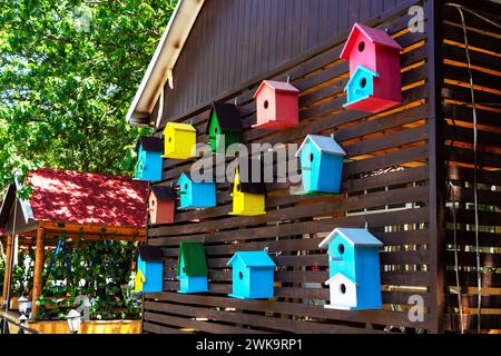 Farbenfrohe kreative Holznistkästen Vogelhaus an einer Wand im Hinterhof gehängt. Stockfoto