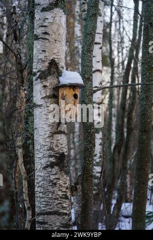 Schneebedecktes, handgefertigtes Vogelhaus aus Holz auf einer Birke im Winterwald Stockfoto