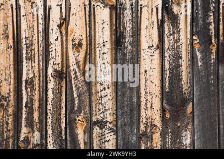Nahaufnahme von Seitenplanken aus Kiefernholz mit verblasster und abblätternder grauer Farbe. Stockfoto
