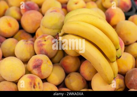 Zweig von gelben Reifen Bananen und Pfirsichen. Tropische Früchte zum Verkauf. Stockfoto