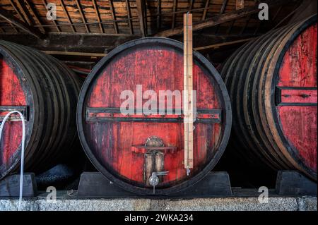 Riesige Fässer voller Hafen im Douro-Tal in der Nähe von Porto, Portugal Stockfoto