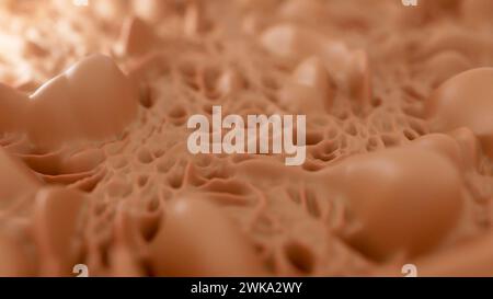 „Hautgewebe und Hautzelle 2“ könnte eine visuelle Darstellung bedeuten, möglicherweise Bilder oder ein Video, bei dem sowohl das Hautgewebe als auch die einzelnen Hautzellen im Mittelpunkt stehen. Stockfoto