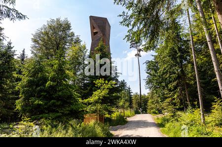 Der Hardwaldturm wurde 2022 gebaut und hat eine Höhe von 41,5 Meter. Er steht im Hardwald auf Gemeindegebiet der Gemeinde Dietlikon. (Dietlikon, Schwe Stockfoto