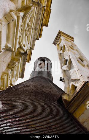 Blick auf das Dach im Gegensatz zu den Schornsteinen des Château de Chambord. Erbaut auf Befehl von Francois 1. Ab 1519 nach seiner Krönung. Stockfoto