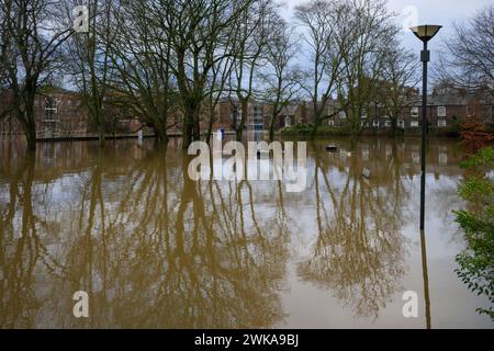 River Ouse platzte seine Ufer und überschwemmte nach starkem Regen (Flussufer unter Hochwasser getaucht, Park überschwemmt) - York, North Yorkshire, England, Großbritannien. Stockfoto