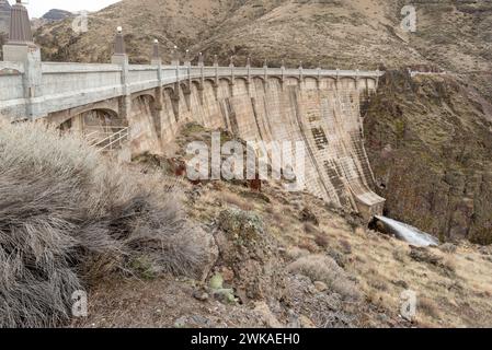 Der Owyhee Dam im Malheur County, Oregon. Stockfoto