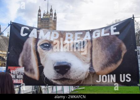 London, Großbritannien. Februar 2024. Camp Beagle und verschiedene Tierschutzaktivisten veranstalten einen Protest vor dem Parlament, während Parlamentsabgeordnete Tierversuche diskutieren. Quelle: Vuk Valcic/Alamy Live News Stockfoto