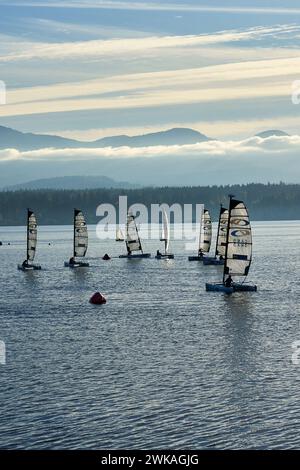 Kleine Doppelhüllen-Segelboote, die auf dem Meereswasser mit Bergen im Hintergrund trainieren. Stockfoto