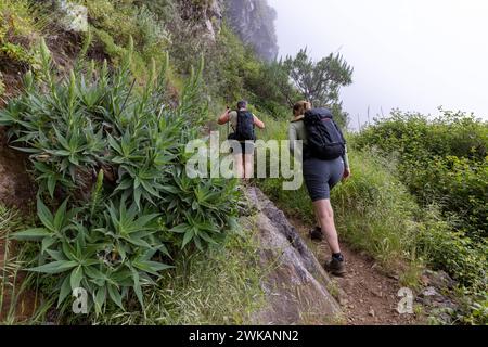 Europa Portugal Madeira Süden Jardim da Serra Insel Gebirge: Ein Wanderweg führt im Süden der Insel von Bocca da Corrida in das Inselinnere zum Encume Stockfoto