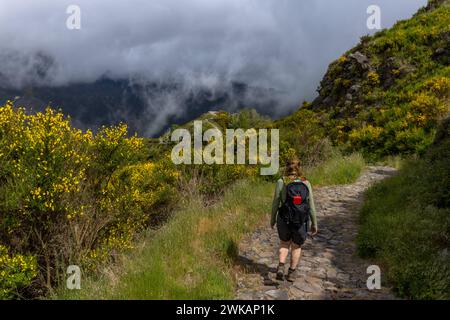 Europa Portugal Madeira Süden Jardim da Serra Insel Gebirge: Ein Wanderweg führt im Süden der Insel von Bocca da Corrida in das Inselinnere zum Encume Stockfoto