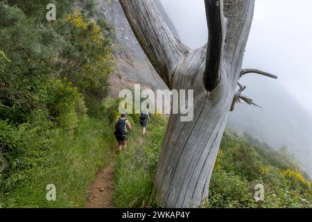 Europa Portugal Madeira Süden Jardim da Serra Insel Gebirge: Ein Wanderweg führt im Süden der Insel von Bocca da Corrida in das Inselinnere zum Encume Stockfoto