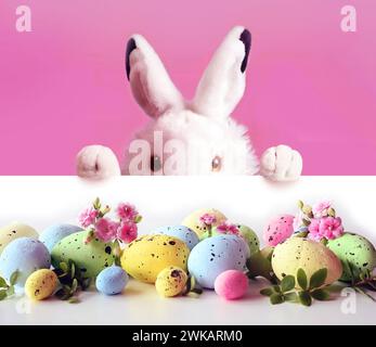 Weißes osterhase mit Farben ostereier und Blumen. Osterkonzept. Osterhase. Urlaubskonzept. Stockfoto