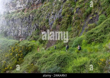 Europa Portugal Madeira Süden Jardim da Serra Insel Gebirge: Ein Wanderweg führt im Süden der Insel von Bocca da Corrida in das Inselinnere zum Encume Stockfoto