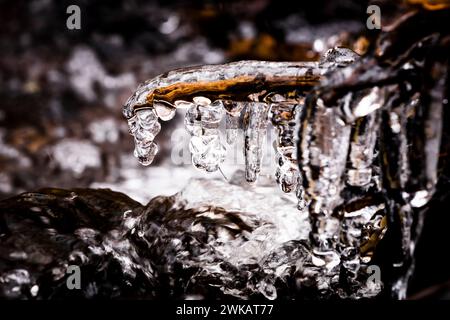 Eiszapfen hängen im Winter an einem gefallenen Zweig in einem Bach. Stockfoto