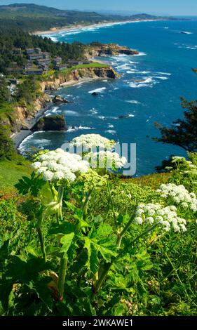 Blick auf die Küste mit Kuhpastete von Cape Foulweather, Otter Crest State Park, Pacific Coast Scenic Byway, Oregon Stockfoto