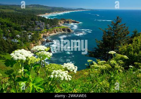 Blick auf die Küste mit Kuhpastete von Cape Foulweather, Otter Crest State Park, Oregon Stockfoto