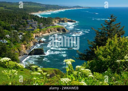 Blick auf die Küste mit Kuhpastete von Cape Foulweather, Otter Crest State Park, Pacific Coast Scenic Byway, Oregon Stockfoto