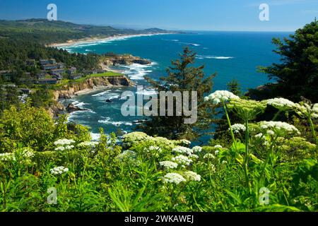 Blick auf die Küste mit Kuhpastete von Cape Foulweather, Otter Crest State Park, Pacific Coast Scenic Byway, Oregon Stockfoto