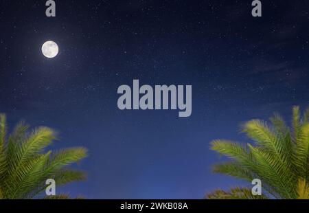 Wunderschöne Nachtlandschaft mit tropischen Palmen am nächtlichen Sternenhimmel mit Vollmond. Stockfoto