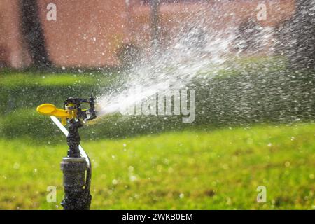 Bewässern Sie das Gras auf dem Rasen. Wasserbewässerungssystem. Automatische Rasenbewässerung. Stockfoto