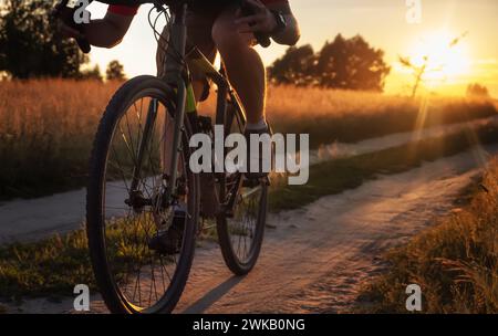 Radfahrer fahren bei Sonnenuntergang auf dem Feldweg auf dem Land. Sportlicher Kerl auf einem Schotterrad, der an der frischen Luft trainiert. Stockfoto