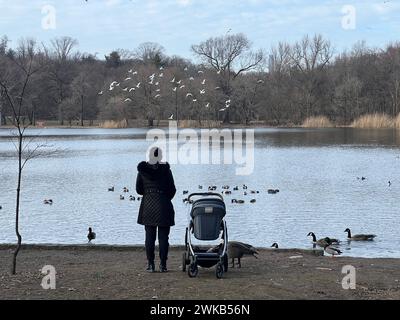 Eine Frau mit einem Baby im Kinderwagen füttert die Vögel entlang des Sees im Prospect Park, Brooklyn, New York. Stockfoto