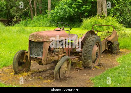 Traktor, Dorris Ranch Living History Filbert Farm County Park, Lane County, Oregon Stockfoto