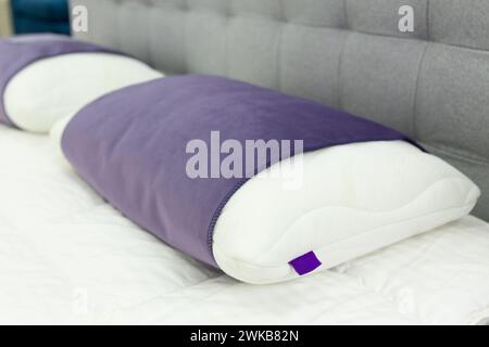 Zwei moderne schneeweiße Kissen mit violetten Bezügen auf einem Bett mit weißer Decke Stockfoto