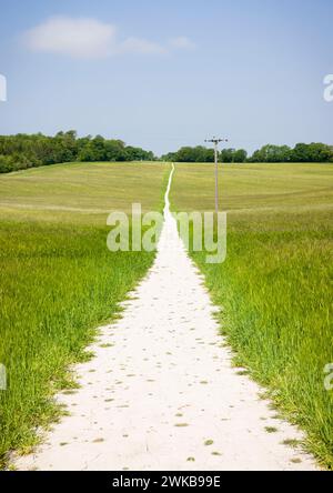 Wanderweg mit weißer Kreide durch ein Feld in englischer Landschaft. Chiltern Hills, Aylesbury, Buckinghamshire, Großbritannien Stockfoto