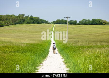 Indische asiatische Frau, die allein auf einem Wanderweg mit weißer Kreide durch ein Feld in englischer Landschaft wandert. Chiltern Hills, Aylesbury, Buckinghamshire, Großbritannien Stockfoto