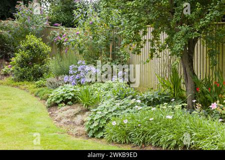 Blumenbeet in einem wunderschönen englischen Garten im Sommer, Großbritannien. Mehrjährige blühende Pflanzen einschließlich Agapanthus und cape Gänseblümchen Stockfoto