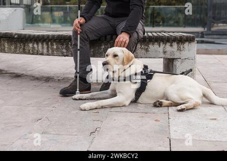 Der blinde Mann und sein Blindenhund sitzen auf der Straße. Sehbehinderte Menschen und Assistenzhunde Konzept. Stockfoto