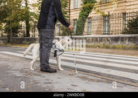 Blinder Fußgänger mit weißem Stock und Spaziergang mit einem Blindenhund über eine Straße. Konzepte von Assistenzhunden und Fussverkehr. Stockfoto