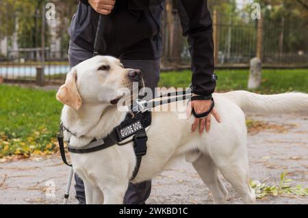 Eine blinde Frau in Begleitung ihres treuen Begleithundes, die sicher und entspannt durch einen Stadtpark läuft. Stockfoto