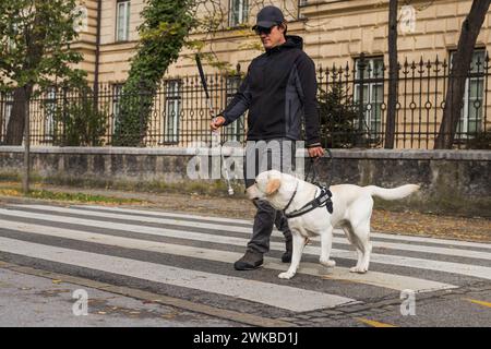 Blinder Fußgänger mit weißem Stock und Spaziergang mit einem Blindenhund über eine Straße. Konzepte von Assistenzhunden und Fussverkehr. Stockfoto