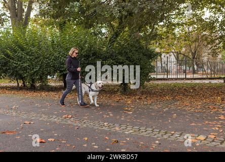 Blinde Frau, die im Stadtpark mit Hilfe eines Begleithundes spaziert, an einem windigen Herbsttag. Sehbehinderte und aktives Lebenskonzept. Stockfoto