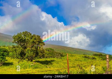 Rainbow auf der Back Road nach Hana oder Piilani Highway auf der Insel Maui in Hawaii. Stockfoto