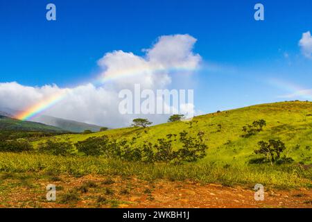 Rainbow auf der Back Road nach Hana oder Piilani Highway auf der Insel Maui in Hawaii. Stockfoto