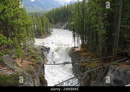 Blick auf die Sunwapta Falls - Kanada Stockfoto