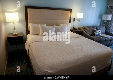 Hotelzimmer, Doppelbett, Hampton by Hilton Hampton Inn San Diego-Downtown. San Diego, Kalifornien, USA, Vereinigte Staaten von Amerika, 19.02.2024 *** Hotelzimmer, Doppelbett, Hampton by Hilton Hampton Inn San Diego Downtown San Diego, Kalifornien, USA, USA, 19 02 2024 Stockfoto