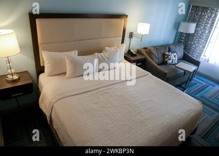 Hotelzimmer, Doppelbett, Hampton by Hilton Hampton Inn San Diego-Downtown. San Diego, Kalifornien, USA, Vereinigte Staaten von Amerika, 19.02.2024 *** Hotelzimmer, Doppelbett, Hampton by Hilton Hampton Inn San Diego Downtown San Diego, Kalifornien, USA, USA, 19 02 2024 Stockfoto