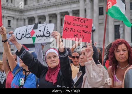 Buenos Aires, Argentinien, 16. Februar 2024: Frauen, die palästinensische Fahnen und pazifistische Plakate hissen, Menschen versammelten sich vor dem Kongress in Solidarität wi Stockfoto