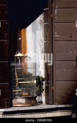 Vogelkäfig im Fenster, Venedig, Italien Stockfoto