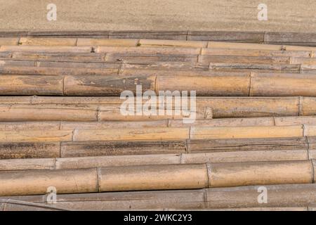 Nahaufnahme von verwitterten, rissigen Bambusstangen auf Beton in Südkorea Stockfoto