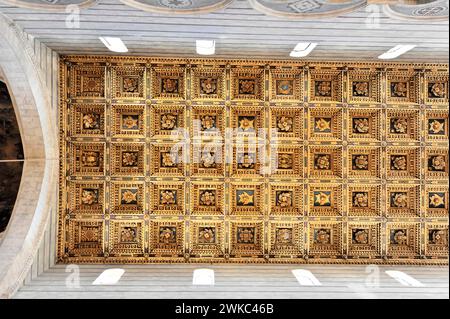 Kassettendecke im Kirchenschiff, Kathedrale Santa Maria Assunta, Pisa, Toskana, Italien Stockfoto