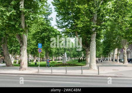 Zargreb Kroatien - 23. Mai 2011; üppiger Stadtpark mit hohen Bäumen auf der gegenüberliegenden Straßenseite, an dem Mann vorbeiläuft. Stockfoto