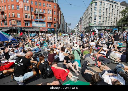 Mass die in, bei der offiziellen Demo Animal Rights March am Rosenthaler Platz in Berlin. Der Animal Rights March ist eine Demonstration der Veganer Stockfoto