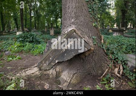 Der Eliasfriedhof in Dresden gilt als kulturell und historisch bedeutendster Friedhof der Stadt. Die Grabstätte in der Pirnaische Stockfoto