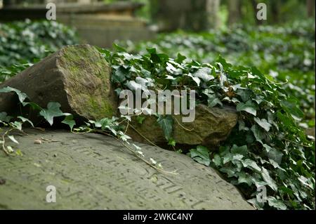 Der Eliasfriedhof in Dresden gilt als kulturell und historisch bedeutendster Friedhof der Stadt. Die Grabstätte in der Pirnaische Stockfoto