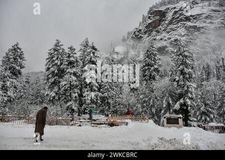 Gaganfir, Indien. Februar 2024. Die Bewohner gehen nach starkem Schneefall durch das schneebedeckte Feld in Gagangir, etwa 90 km von Srinagar entfernt. Starker Schneefall und Regen im Kaschmir haben das Tal vom Rest der Welt abgeschnitten. Alle Autobahnen sind für den Verkehr gesperrt. Der Wettermann hat vorhergesagt, dass Regen/Schnee weitere 48 Stunden andauern wird, was auch in den Ebenen des Tals zu leichtem Schneefall führen könnte. Quelle: SOPA Images Limited/Alamy Live News Stockfoto